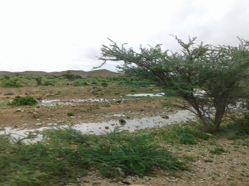 20141017_054405.jpg