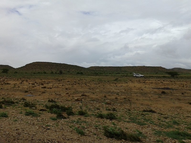 20141017_054824.jpg