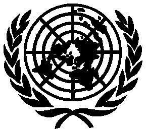 UN%20Flag.Large.JPG