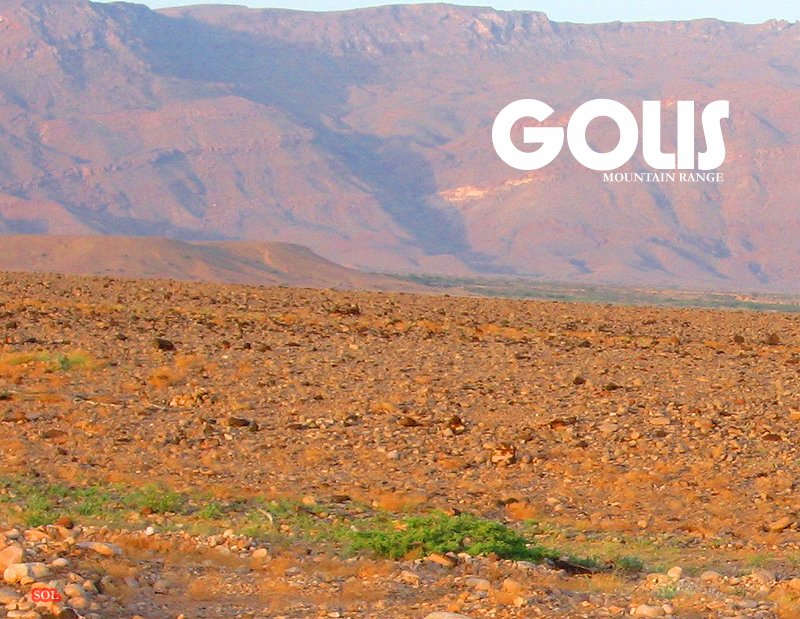 golis.jpg