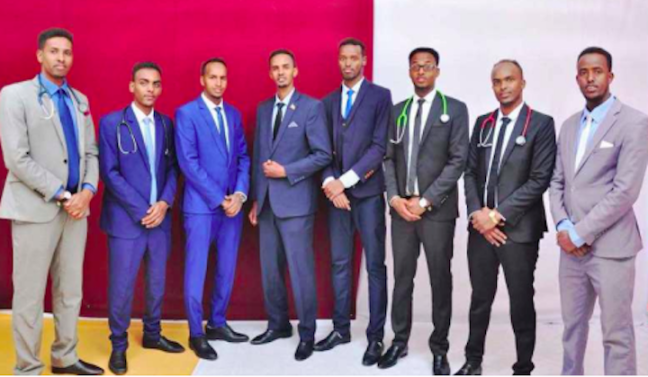 arday-addis.png