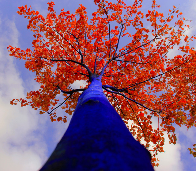 blue-5.jpeg
