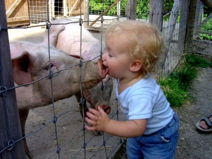 toddler-kissing-pig.jpg