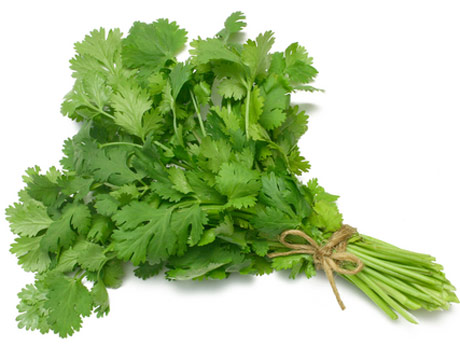 coriander+leaves.jpg