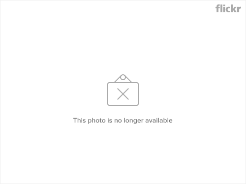 3573352011_6d9181dc0e.jpg?v=0