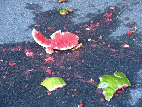 hoboken-crushed-watermelon-victim.jpg