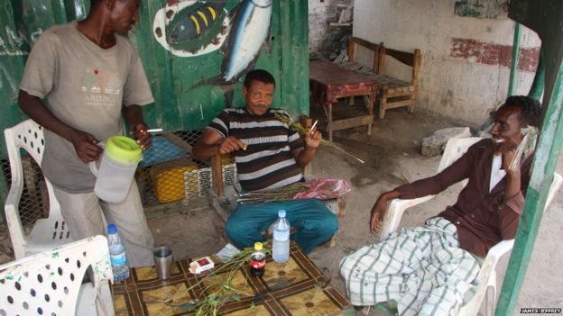 Berbera men gather at small shacks to chew the narcotic plant khat