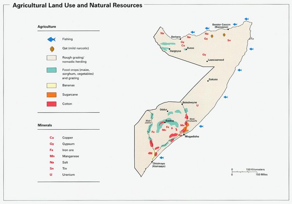 Somalia-Land-Use-Map.mediumthumb.jpg