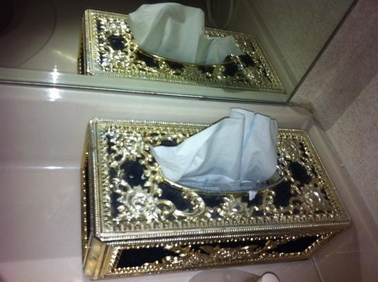 and-this-fancy-tissue.jpg