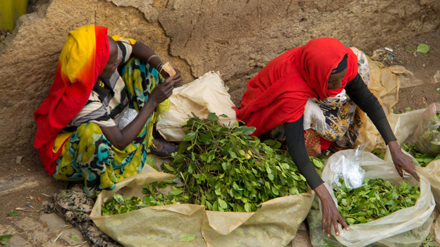 Khat sellers in Harar