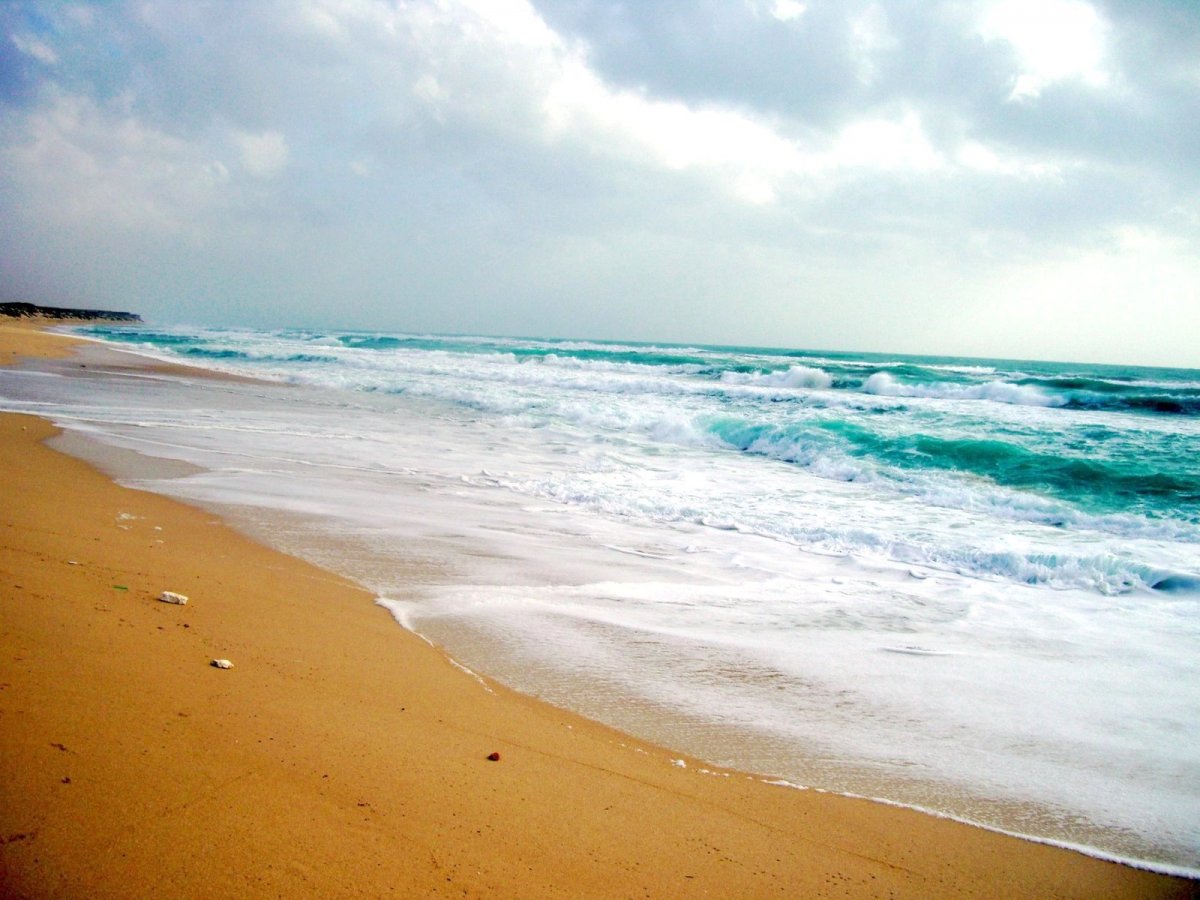 somalia-beach.jpg