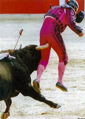 bullfighter.jpg