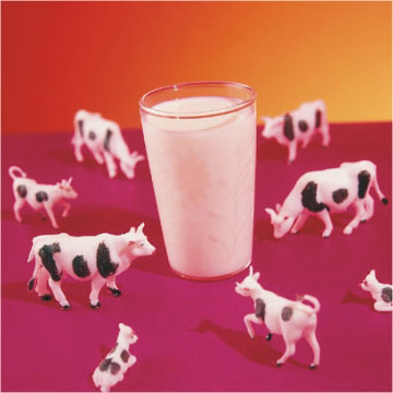 Milk_Flavors.jpg