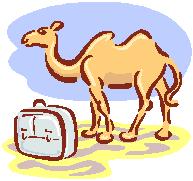 camel3s.jpg
