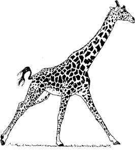 giraffe.gif