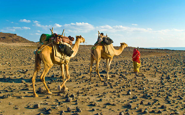 djibouti-travel-somaliaonline