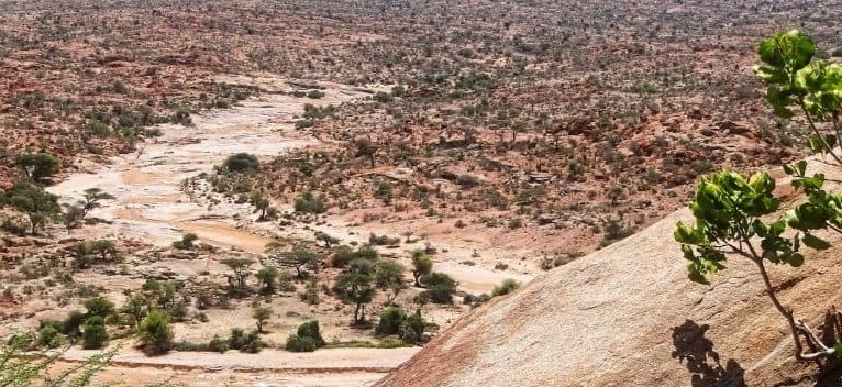 wadis-las-geel-somaliland-768x393-1.jpg