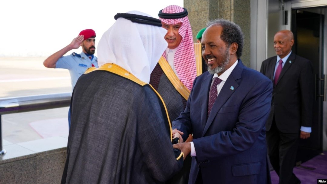 01000000-0aff-0242-e197-08dc5337e7ef_cx0