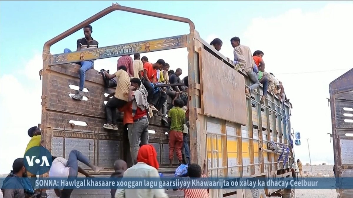 d14fe7f3-2bec-4b2d-873f-08dd4a843460_w12