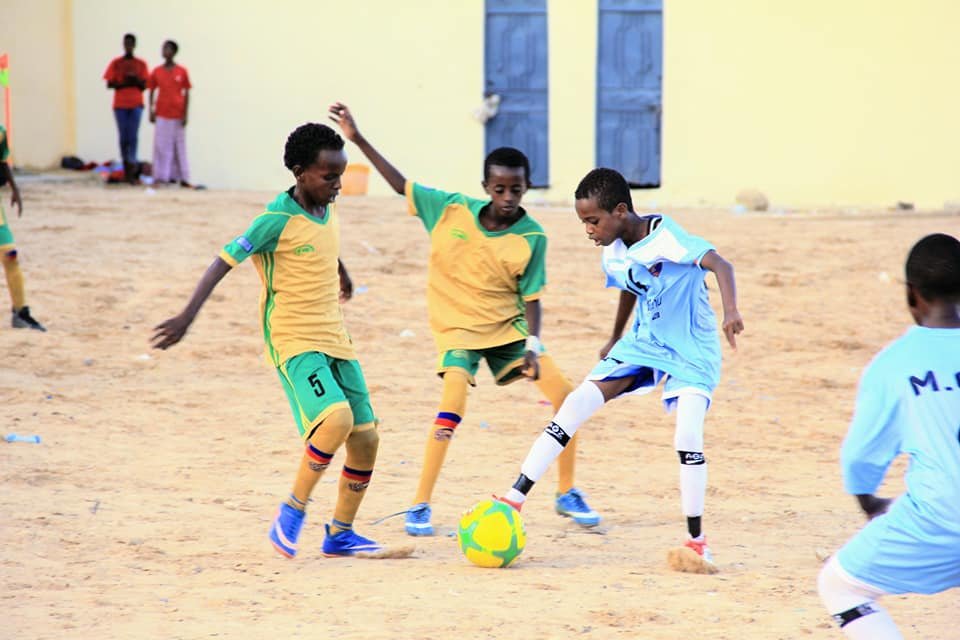 66712648_2314942265411186_67985308340820