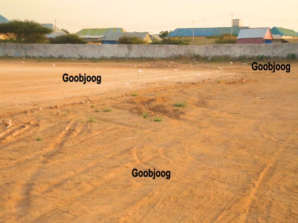 Sequence-05.00_00_00_00.Still004-1024x76