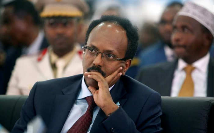 farmajo-1.png