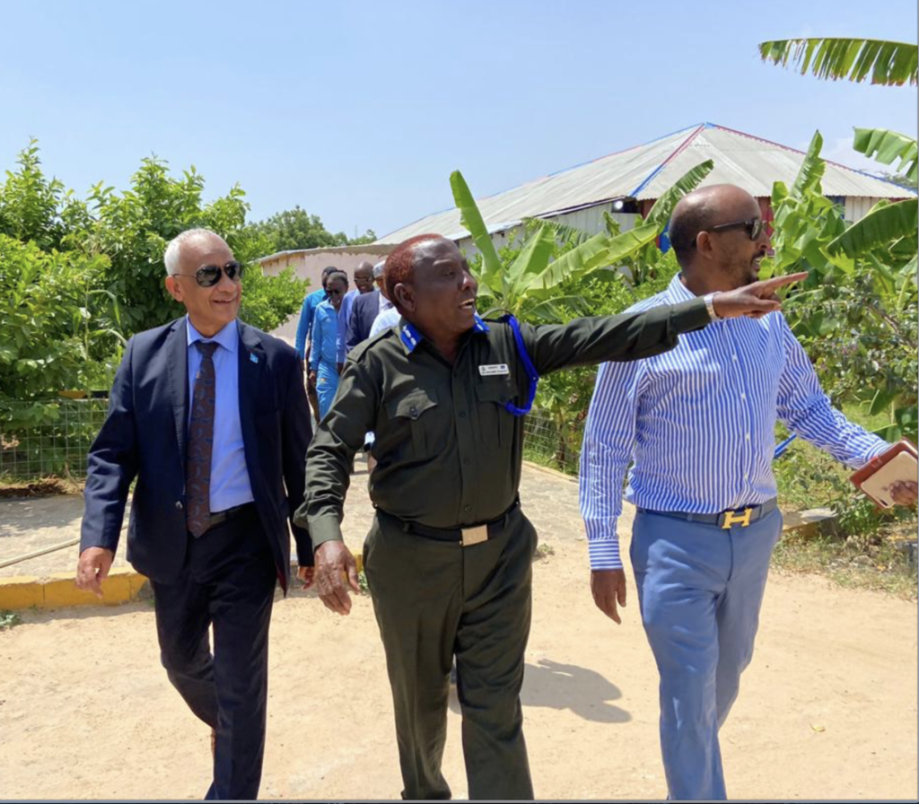 Screenshot-2020-12-03-at-20.08.18-1024x8