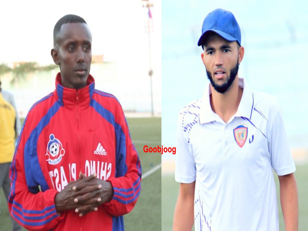 Sequence-136.00_01_42_08.Still001-1024x7