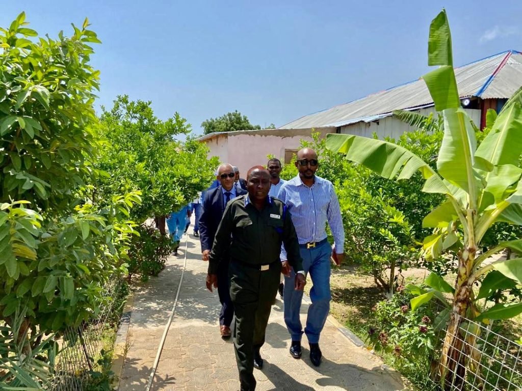 d0ebe1e2-731d-4905-ac06-e0b84044d0a1-102