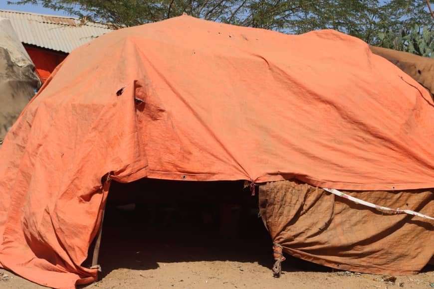 146814010_476289820205568_42090656935067