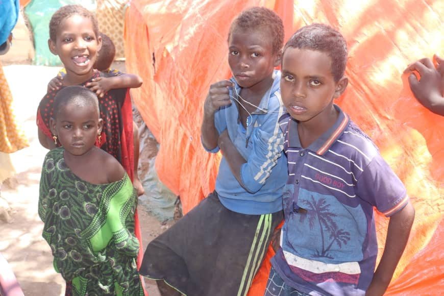 146929505_202269991645493_70295671377839