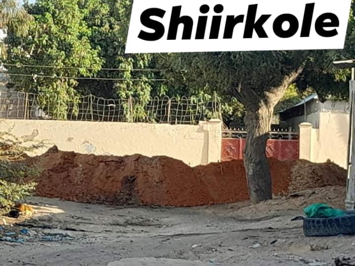 175397907_1427849824242977_3029222453659