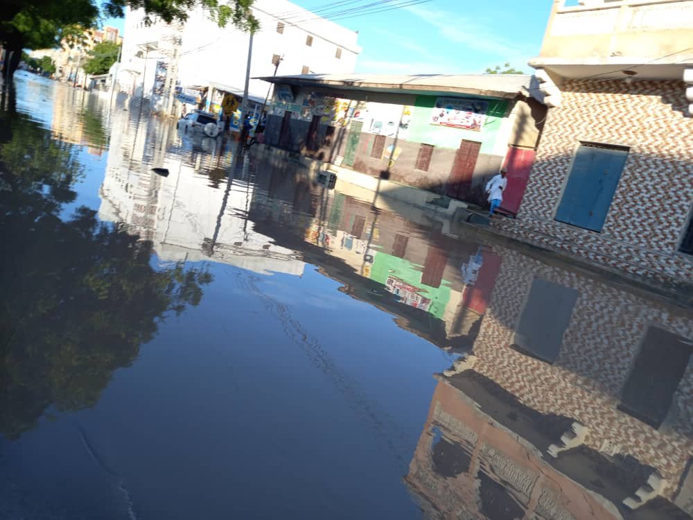 WhatsApp-Image-2021-04-20-at-10.50.42-1.