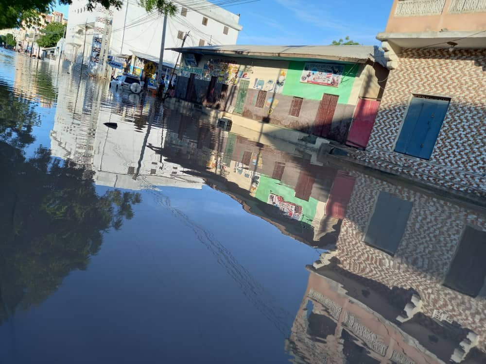 WhatsApp-Image-2021-04-20-at-10.50.42-2.