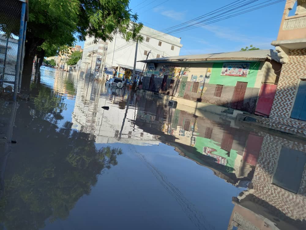 WhatsApp-Image-2021-04-20-at-10.50.42.jp