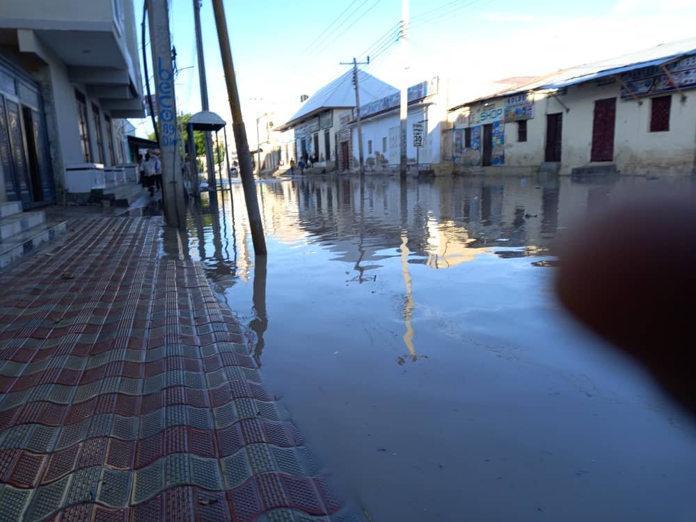 WhatsApp-Image-2021-04-20-at-10.50.43-1.