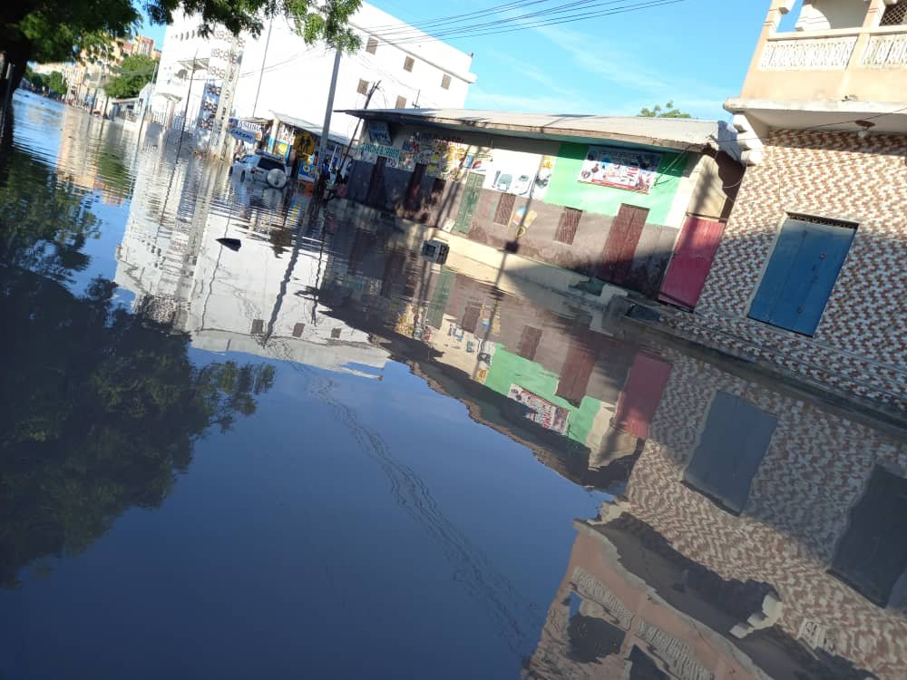 WhatsApp-Image-2021-04-20-at-10.50.43-2.