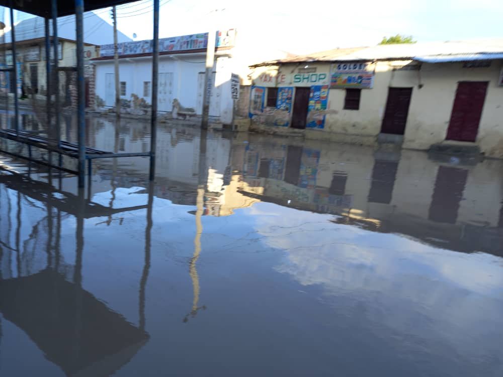 WhatsApp-Image-2021-04-20-at-10.50.43.jp