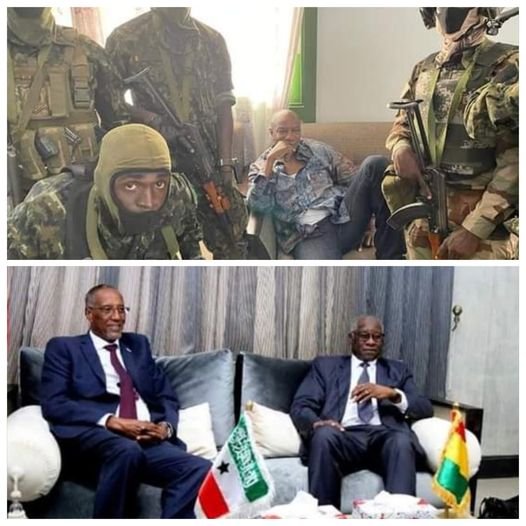 241459416_4972452302769476_6539534991349