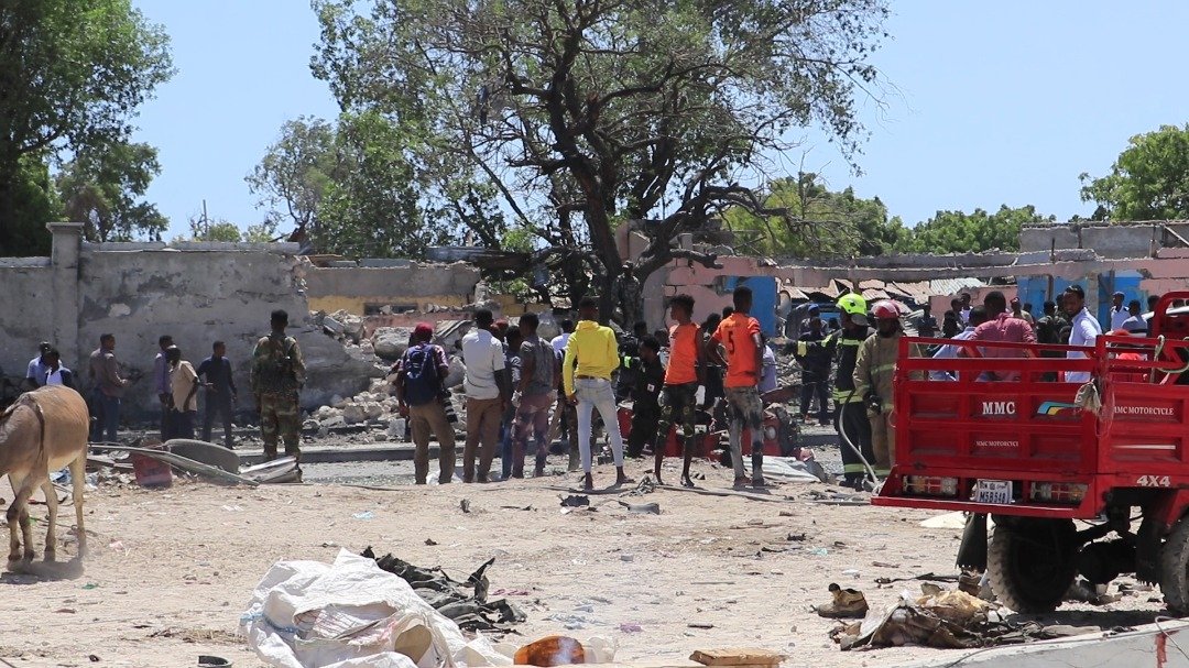 WhatsApp-Image-2022-01-12-at-03.12.36.jp