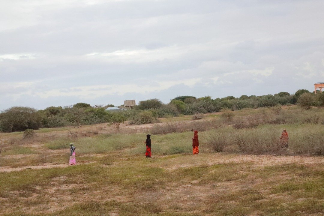 WhatsApp-Image-2022-10-19-at-22.10.51-2.