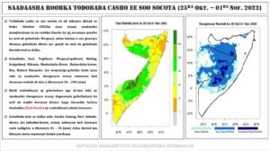 WhatsApp-Image-2022-10-26-at-20.52.29-30