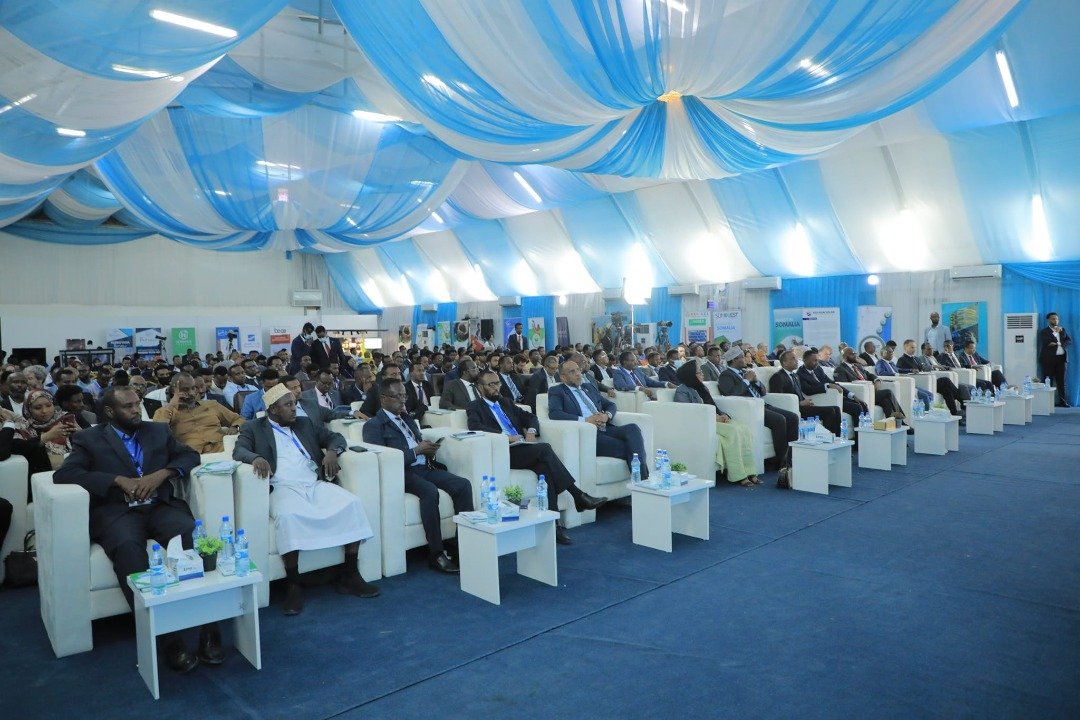 WhatsApp-Image-2022-11-30-at-01.40.27.jp