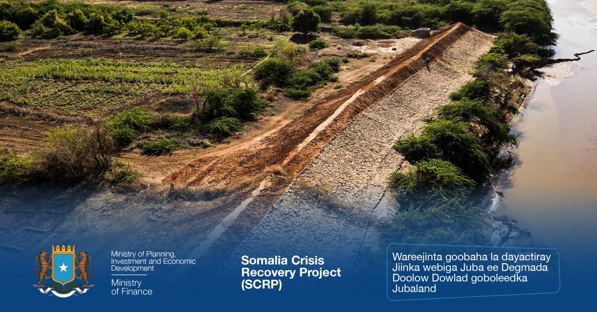 Screen-Shot-2023-01-19-at-11.59.40-AM.jp