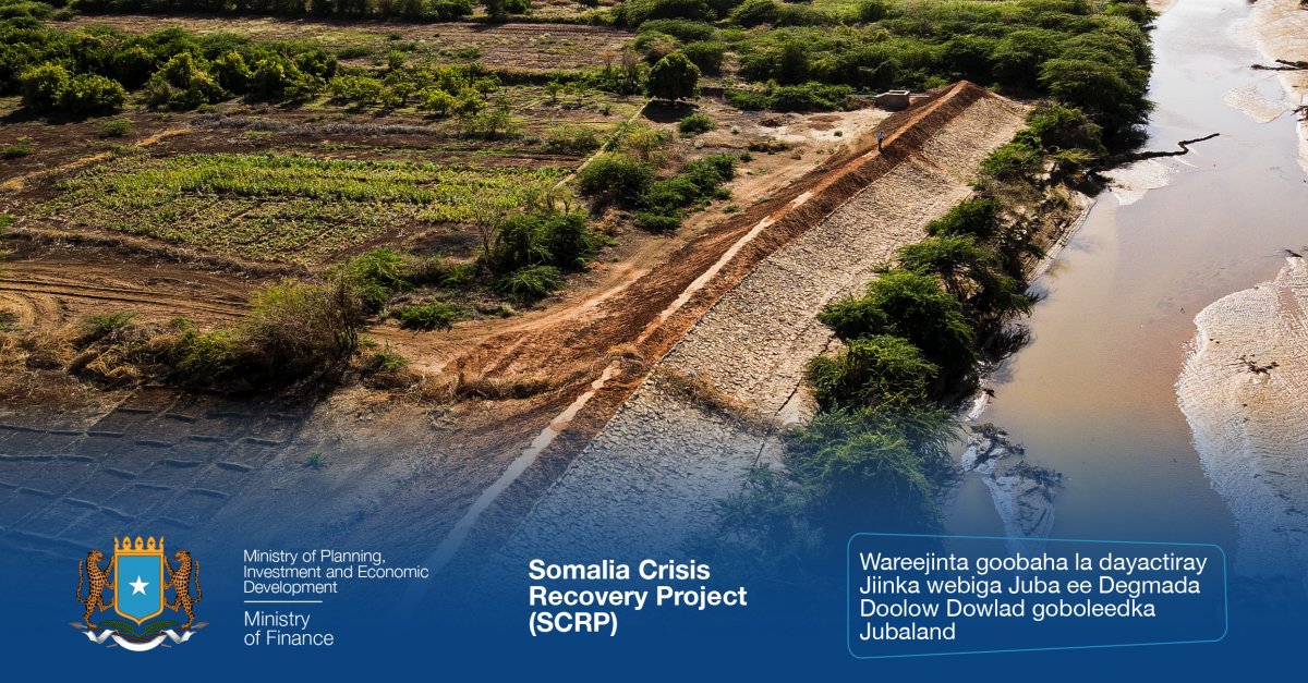 Screen-Shot-2023-01-19-at-11.59.56-AM.jp