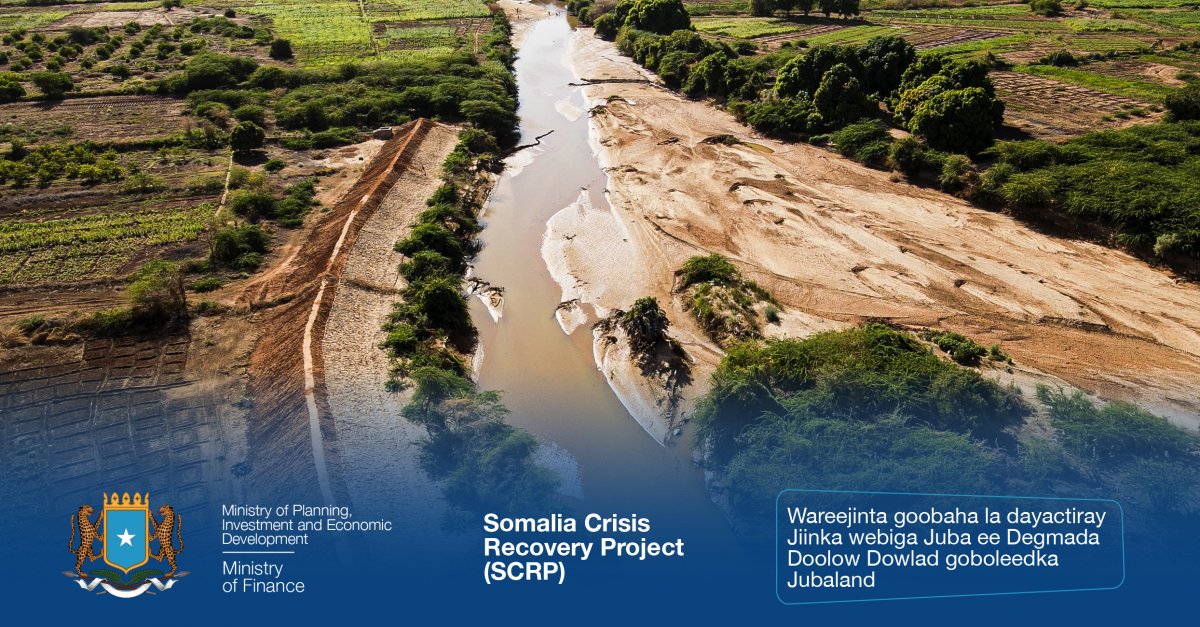 Screen-Shot-2023-01-19-at-12.00.56-PM.jp