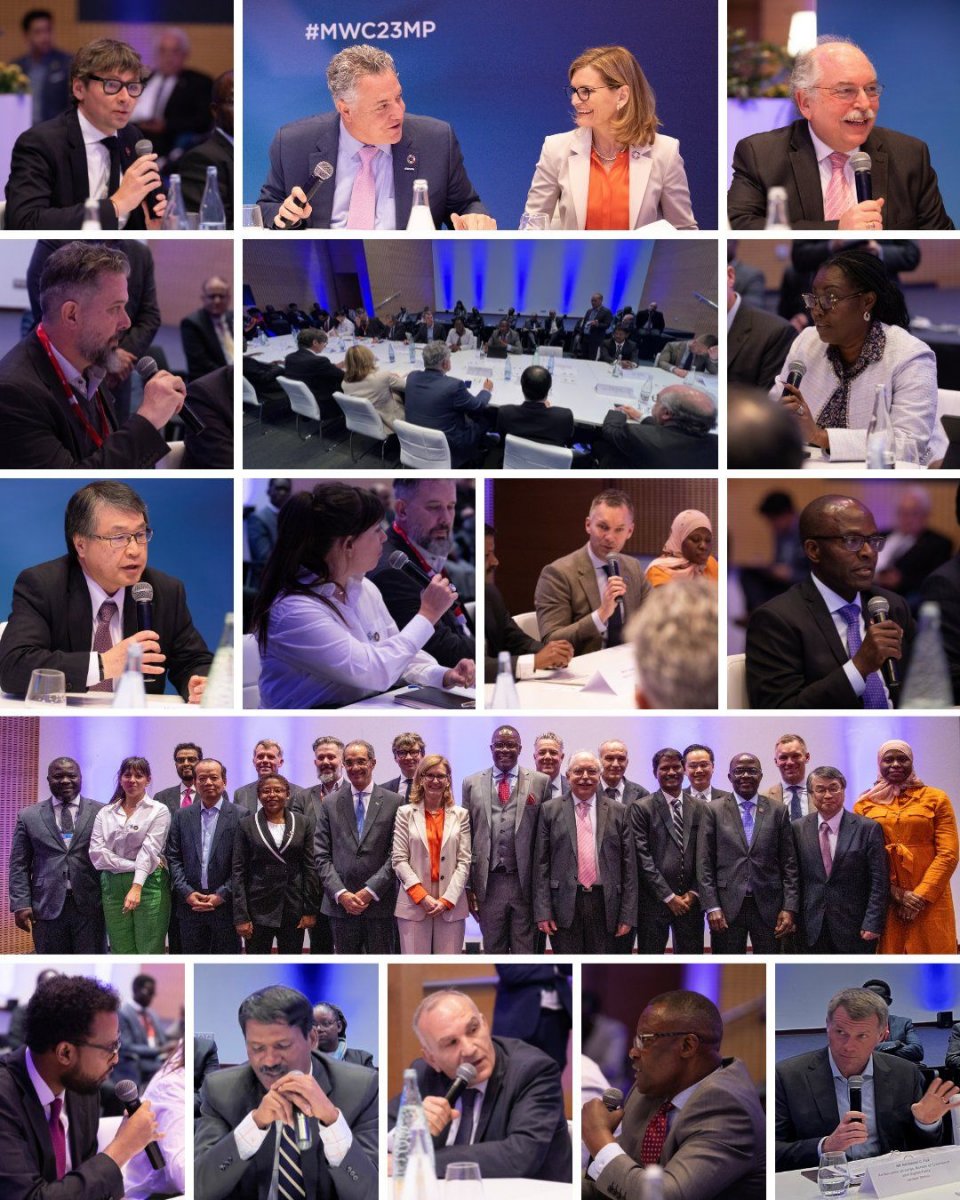 WhatsApp-Image-2023-03-02-at-20.31.15.jp