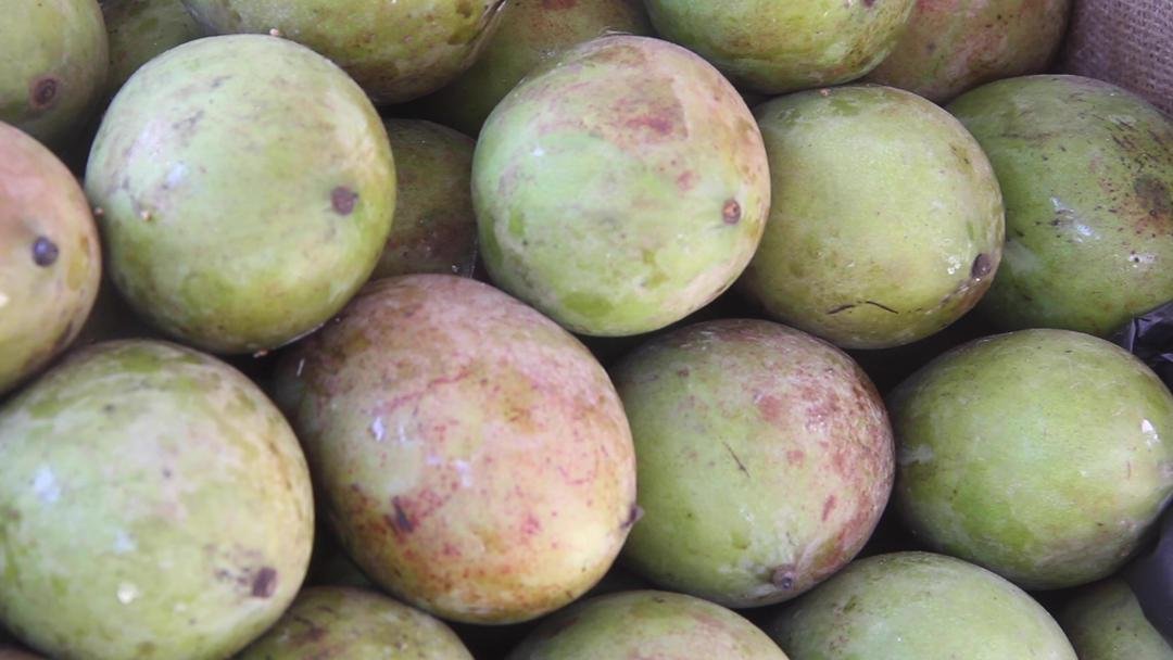 WhatsApp-Image-2023-09-18-at-18.29.53.jp