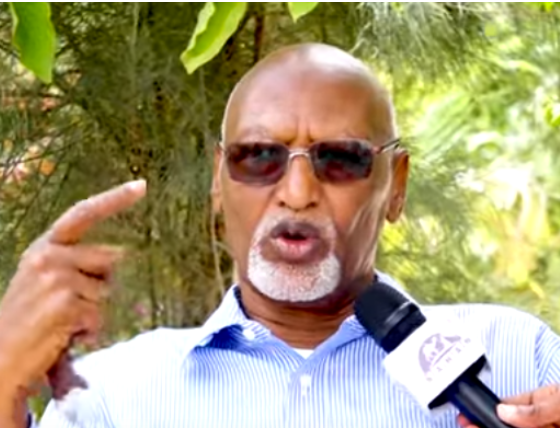 IMG_74E40A-4989F7-835EA1-DEE8DC-3D1FAE-1