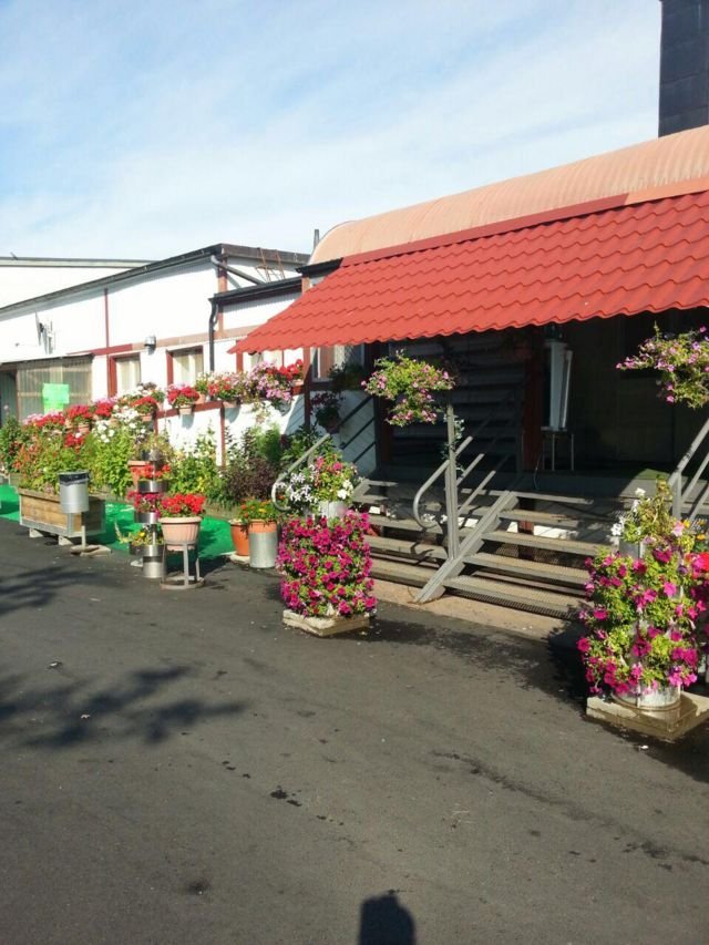 Dhismaha masaajidka dadku Online-ka soo dalbadaan booskii ay kaga tukan lahaayn